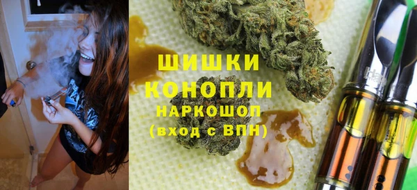 хмурый Арсеньев