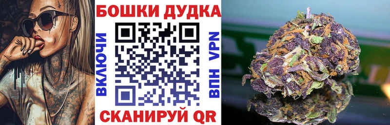 Бошки Шишки сатива Кировск
